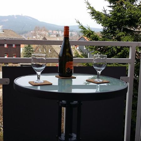 Apartments Gosch Braunlage Zewnętrze zdjęcie